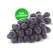 Ontario Fresh Grapes