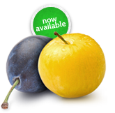 Ontario Plums