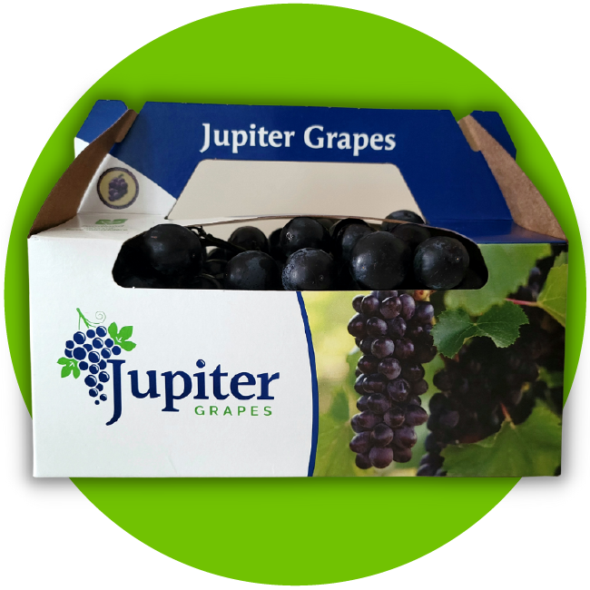 Jupiter™ Grapes Packaging