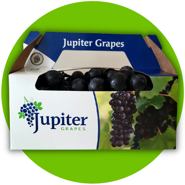 Jupiter<sup>®</sup> Grapes Packaging