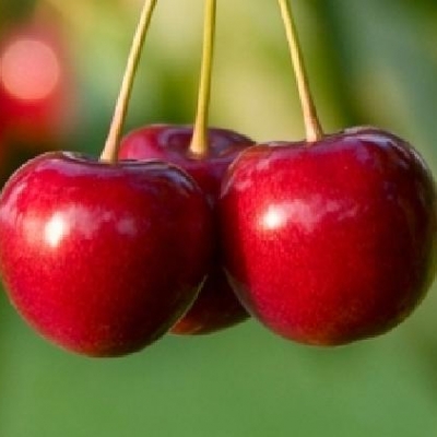  Cherry Kebabs